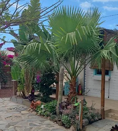 Beautiful Vintage Wifi Parking. Holiday home Las Galletas